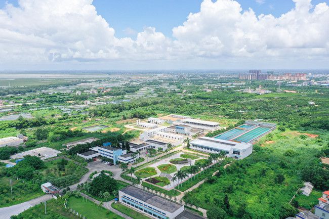 项目航拍（建图）.jpg